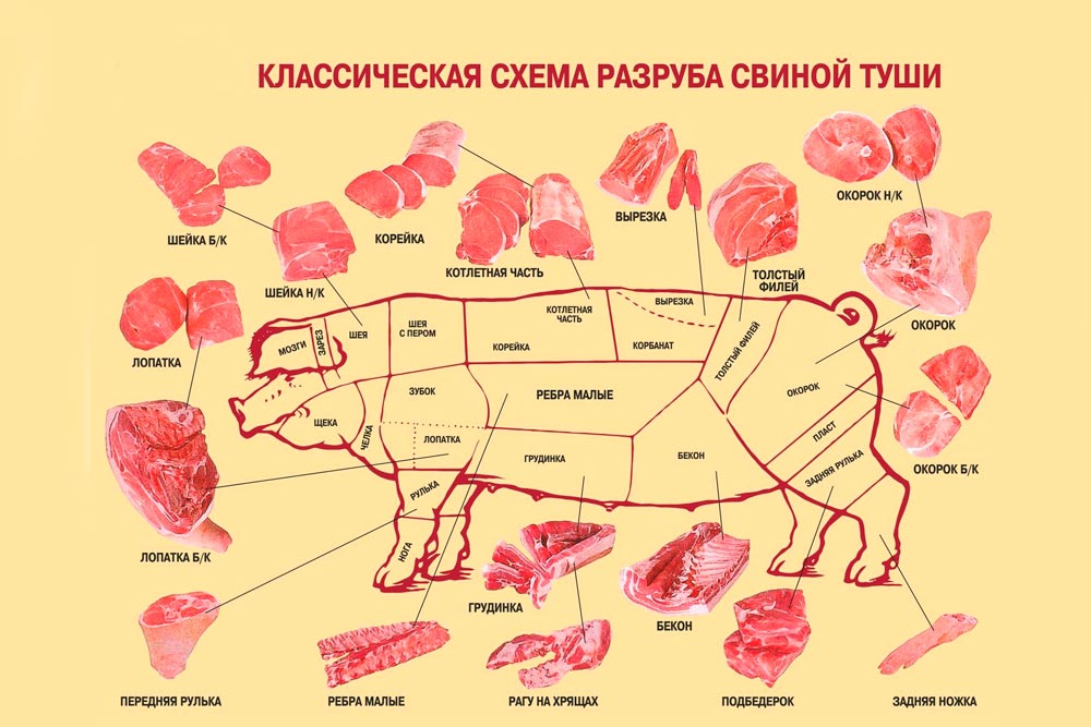 Корейка свиняча — це якась частина: схема оброблення туші, частини свинини