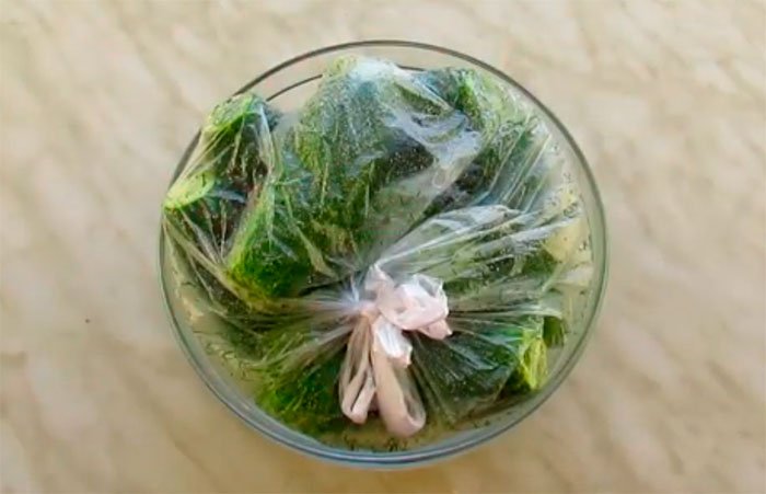 Малосольні огірки: 5 рецептів хрумких огірків швидкого приготування + відео
