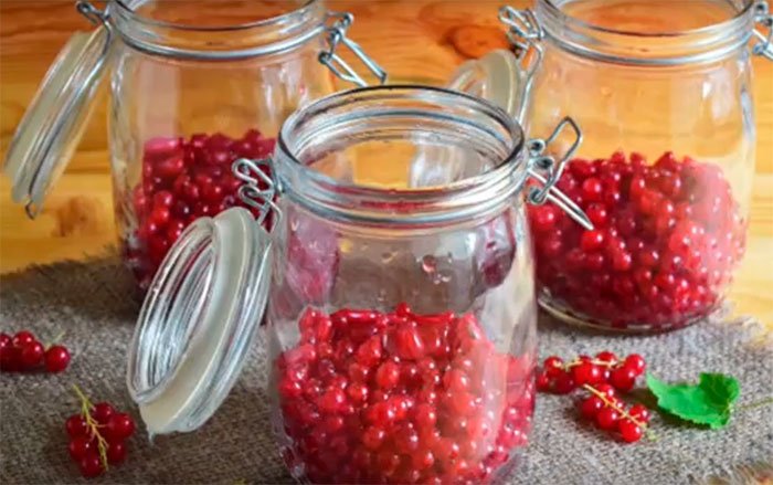 Компот із червоної смородини: 3 простих рецепта на зиму