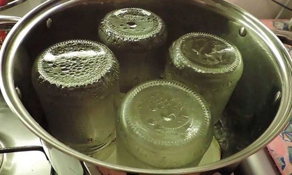 Рецепти приготування черемші на зиму маринованая, з салом