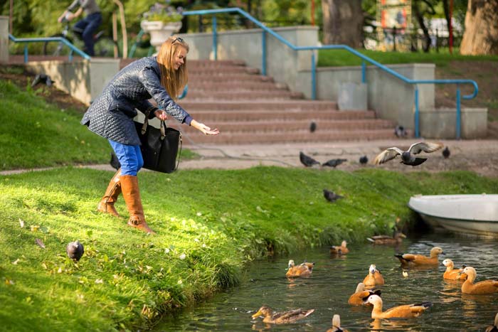 Чим годувати качок на ставку в парку влітку і взимку: їдять рибу, жаб