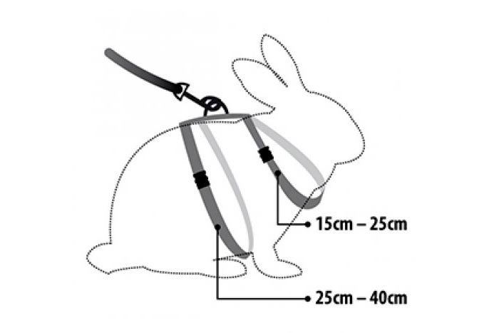 Повідець, шлейка і нашийник для кролика: як вдягти та зробити своїми руками