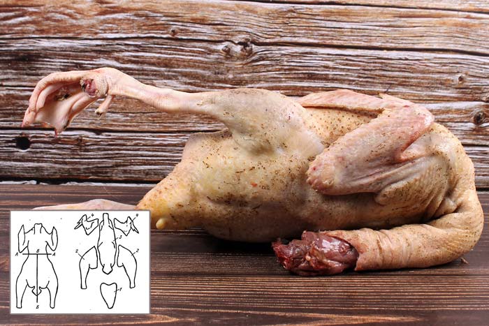 Забій гусей в домашніх умовах: як обробити, вік, коли ріжуть на мясо