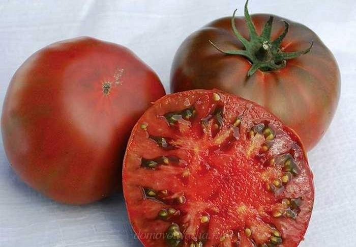Як правильно збирати насіння томатів