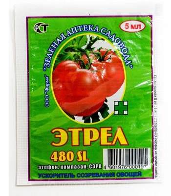 Чим підживити томати під час плодоношення