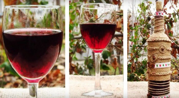 Вино з винограду Ізабелла в домашніх умовах простий покроковий рецепт