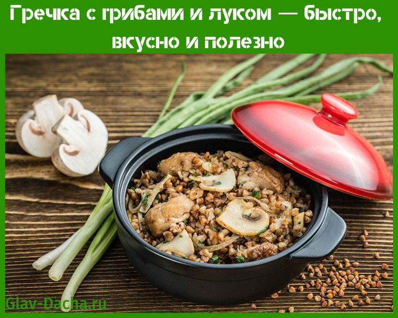Гречка з грибами і цибулею покрокові рецепти приготування страви