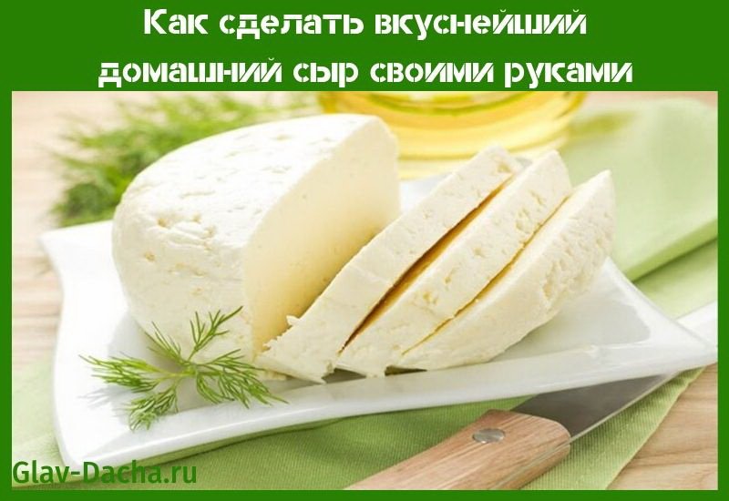 Домашній сир прості і доступні покрокові рецепти з фото