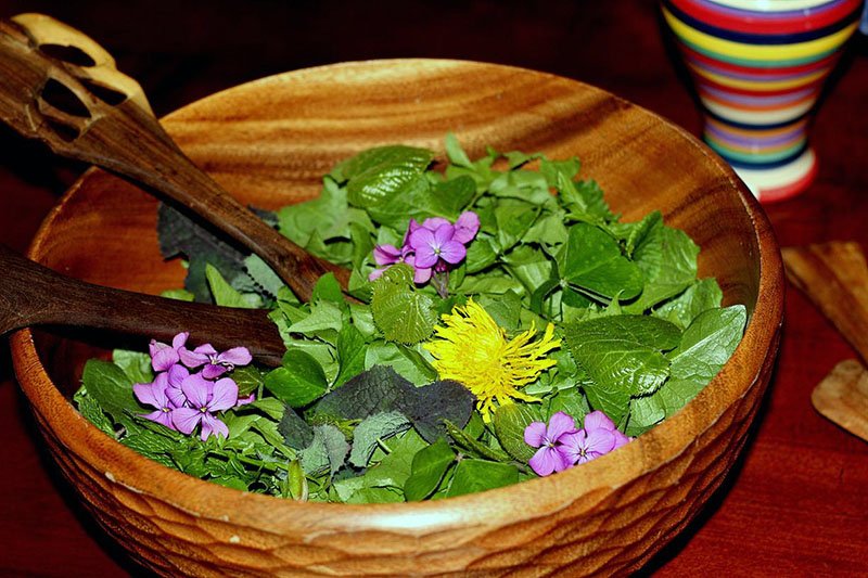 Їстівні квіти в кулінарії для прикраси страв, які їдять квіти