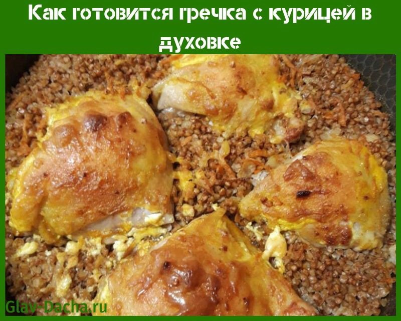 Гречка з куркою в духовці в горщиках, рукаві, покрокові рецепти