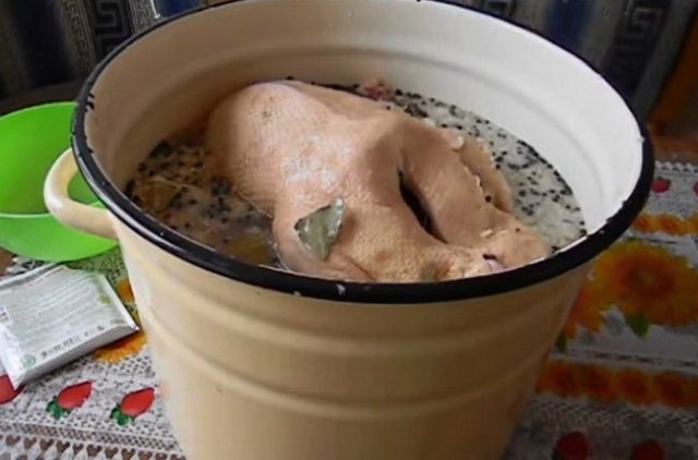 Гусак з гречкою, грибами і печінкою в рукаві – покроковий рецепт