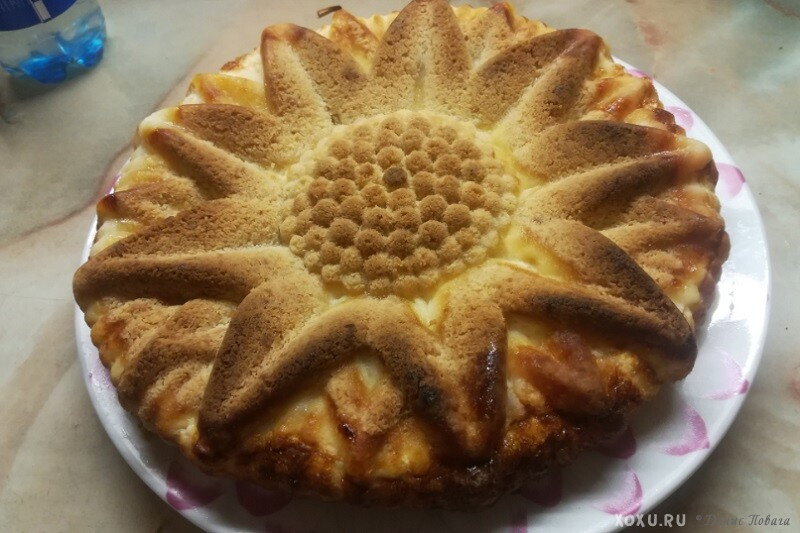 Сирний пиріг в духовці. Пісочний пиріг з сиром – просто і смачно!