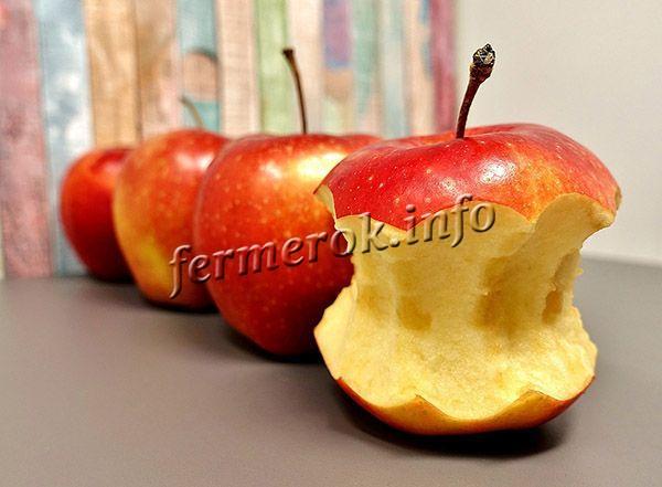 Яблука Гала: опис сорту, фото, різновиди, догляд, відгуки